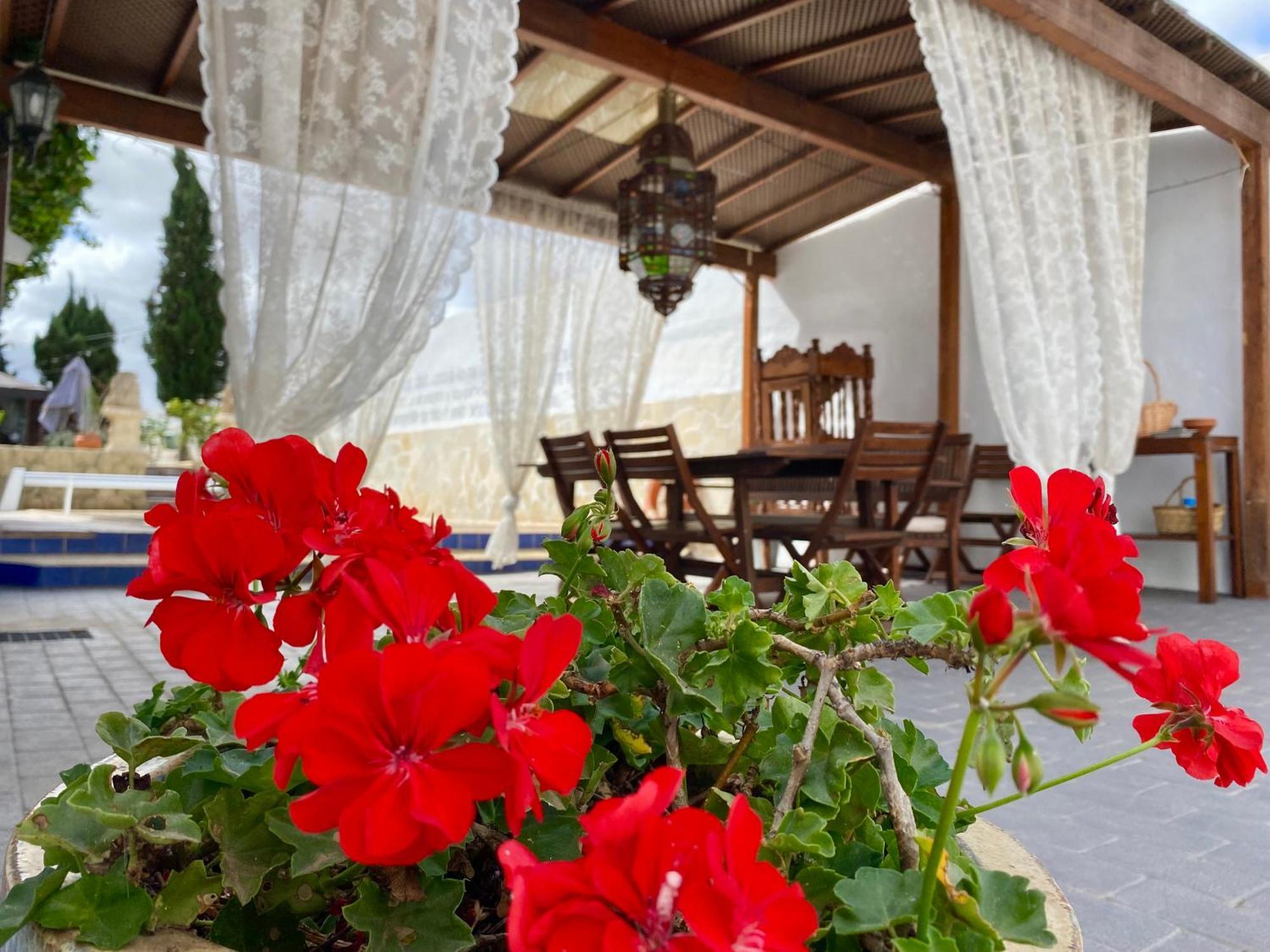 Authentic Canary Style Villa With Private Pool And Garden- Casa Juan Vera Гранадиля де Абона Екстериор снимка