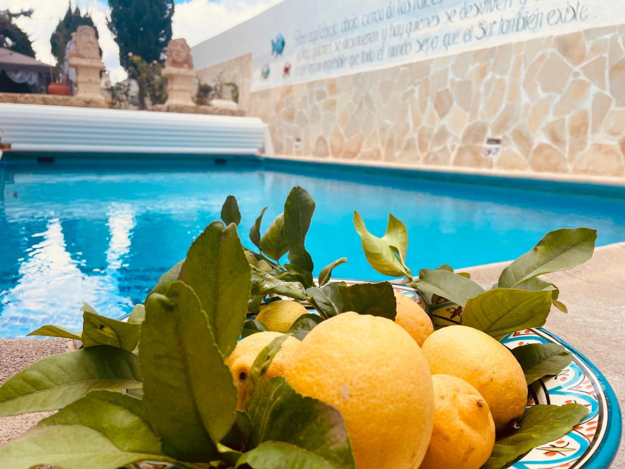 Authentic Canary Style Villa With Private Pool And Garden- Casa Juan Vera Гранадиля де Абона Екстериор снимка